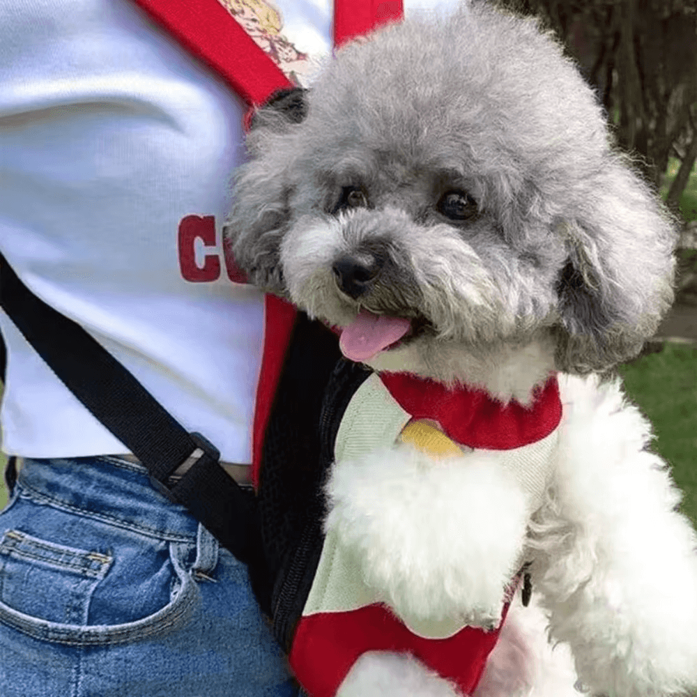Mochila transportadora portátil para mascotas