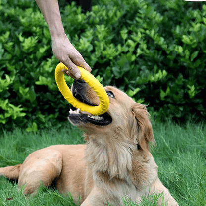 Langlebige schwimmende Hunde-Frisbee