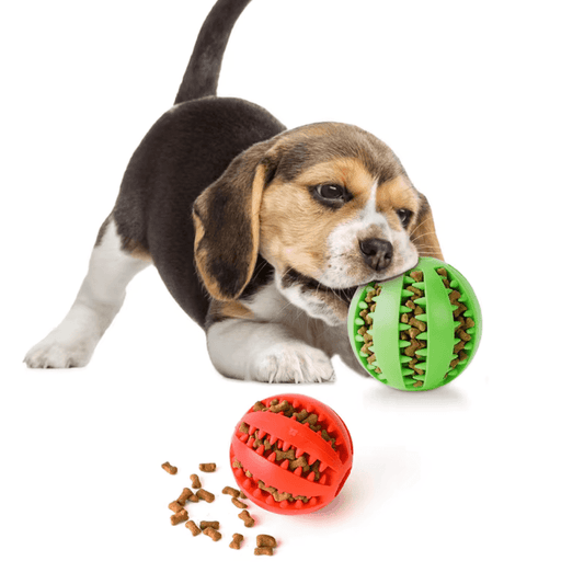 Kauball aus Gummi für Hunde