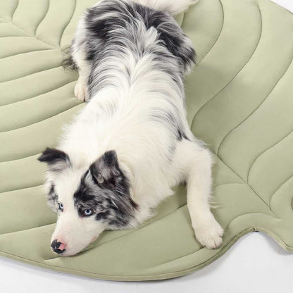 Dog laying on large green Leaf-Shaped Cooling Pet Mat. Designed to keep pets cool and relaxed during hot days.
