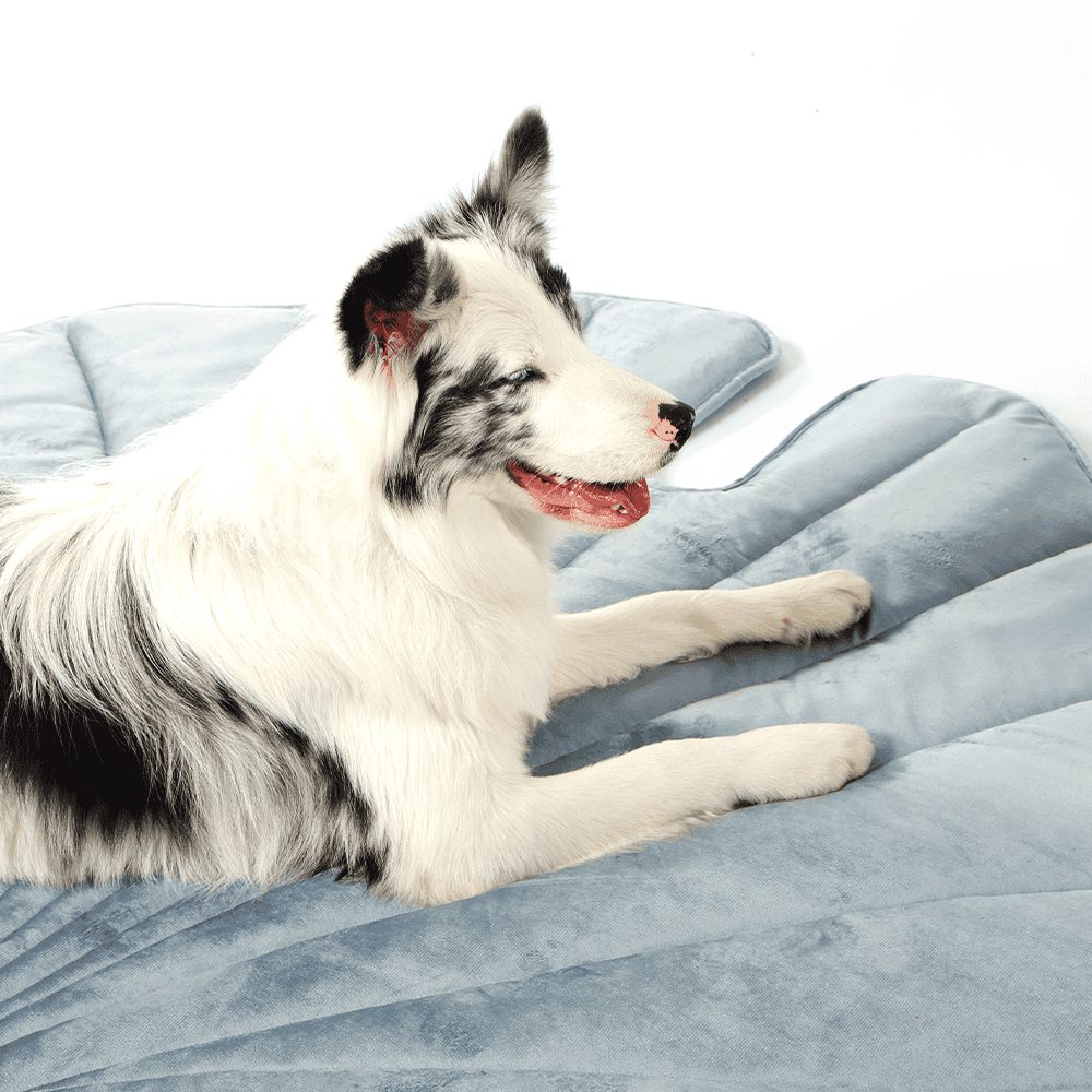 Dog resting on blue Leaf-Shaped Cooling Pet Mat. Soft surface offers comfort and cooling for pets during hot weather.