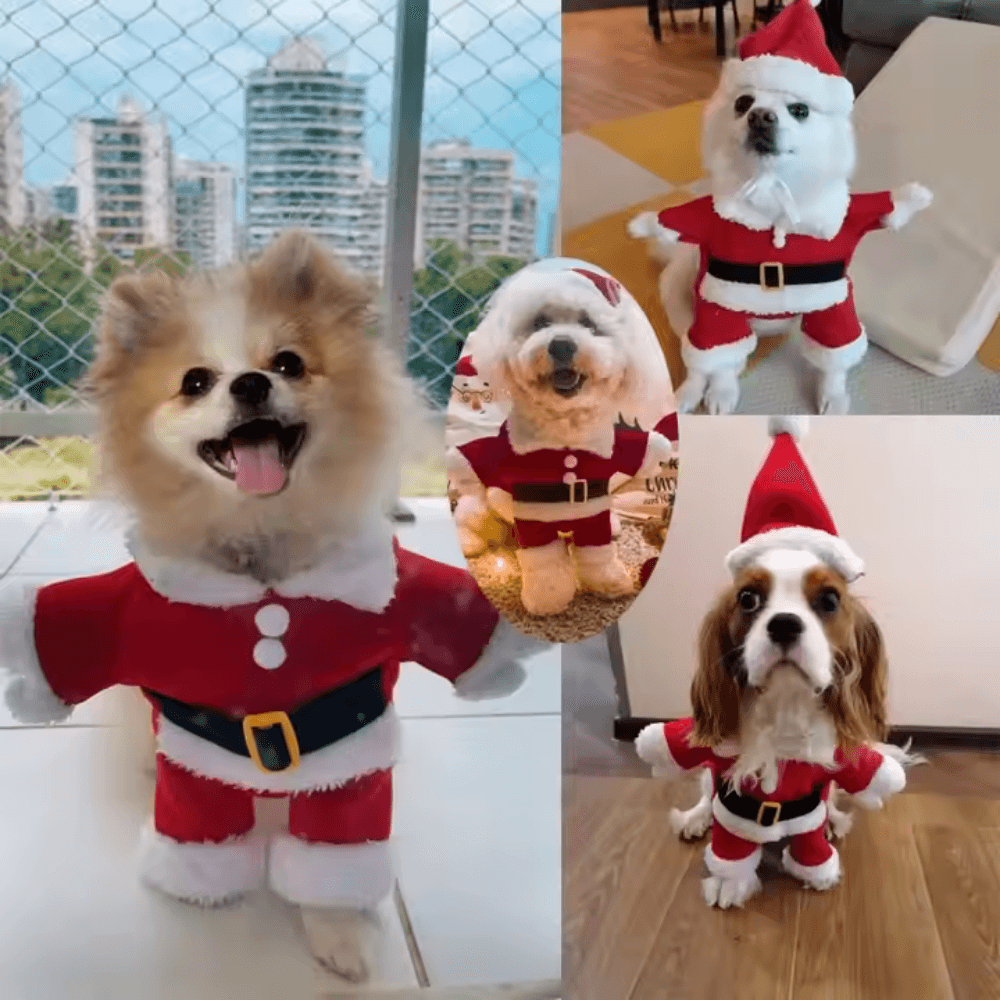 Disfraz festivo de Papá Noel para perro