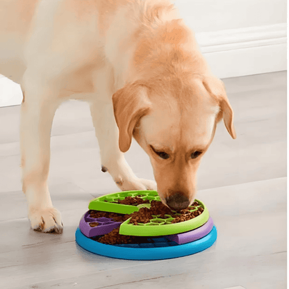 Comedero lento con cepillo de dientes para perros