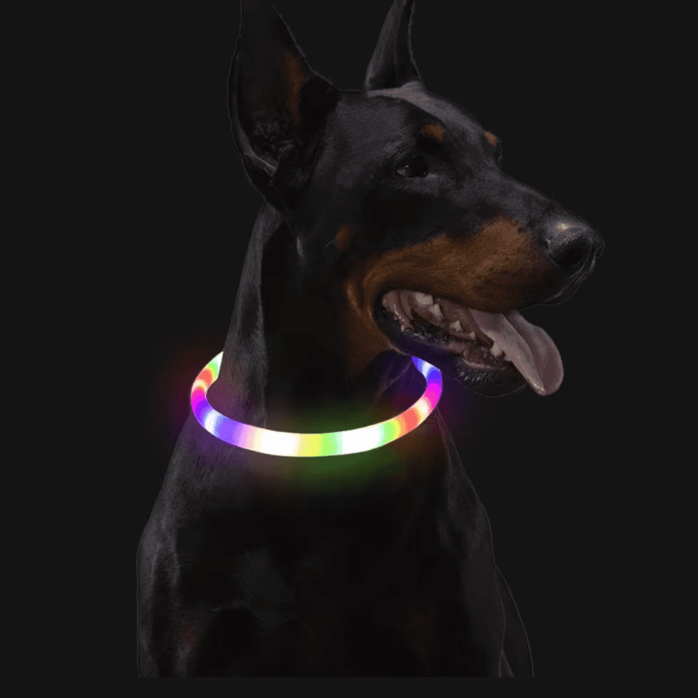 LED Light-Up Dog Collar