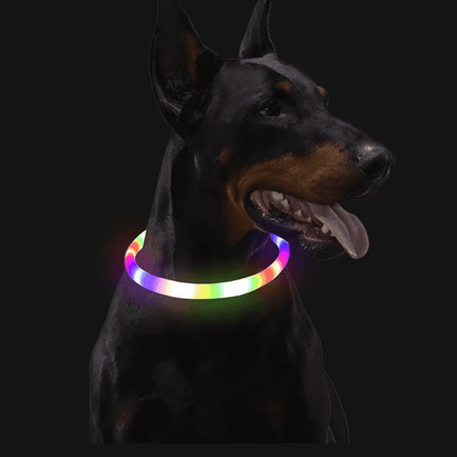 LED Light-Up Dog Collar