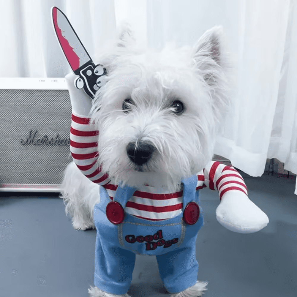 Conjunto de disfraz de cosplay de perro divertido