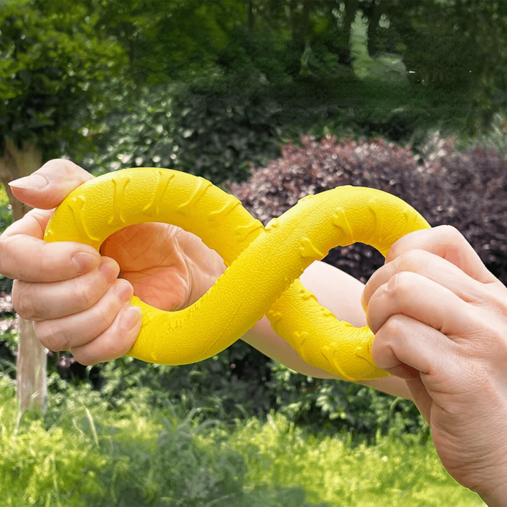 Langlebige schwimmende Hunde-Frisbee