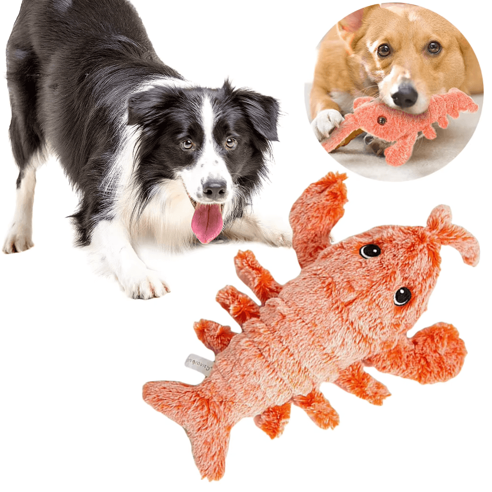 Wiggly Lobster Interactive Pet Toy