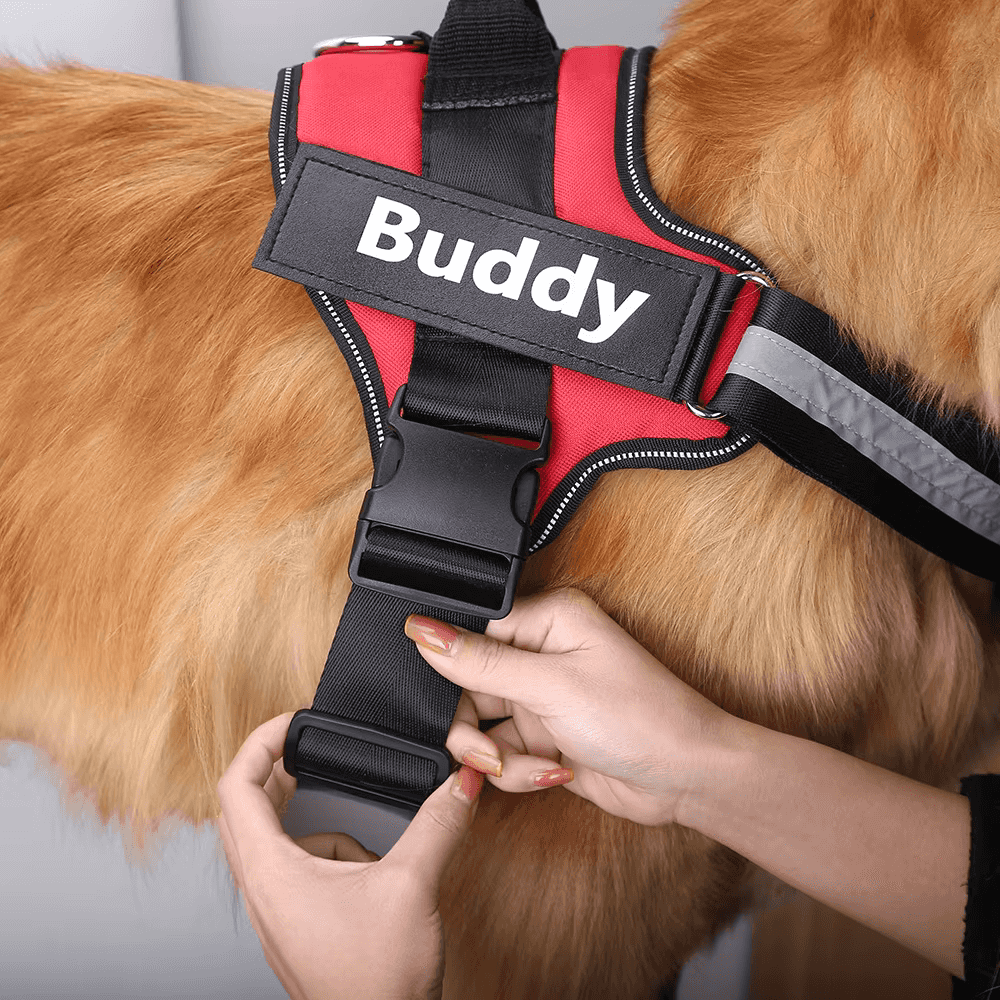 Reflektierendes Anti-Zug-Hundegeschirr mit individuellem ID-Patch