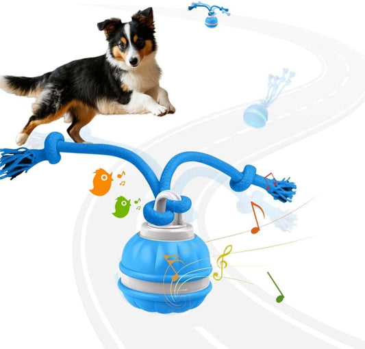 2pcs Paws Design Rechargeable Squeaky Rope Runner Dog Toy – Interactive Ball & Rope for Small Dogs