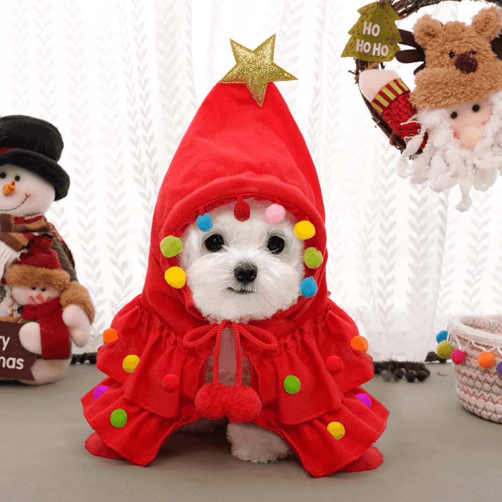 Festlicher Weihnachtsmann-Umhang für Haustiere