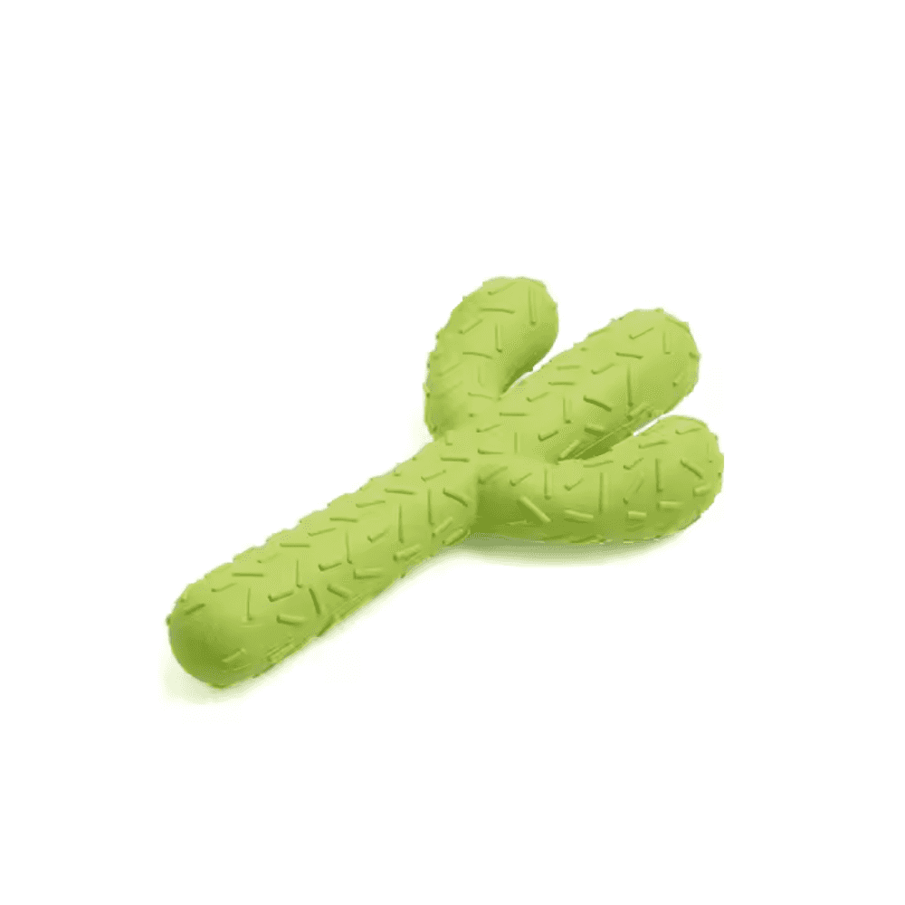 Green cactus-shaped dog chew toy made of safe rubber. Designed for dental cleaning and teething relief in dogs of all sizes.