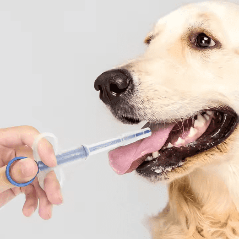 Golden retriever receiving oral medication using Dogs Cats Feeding Medicine syringe with blue tip held by a pet owner.