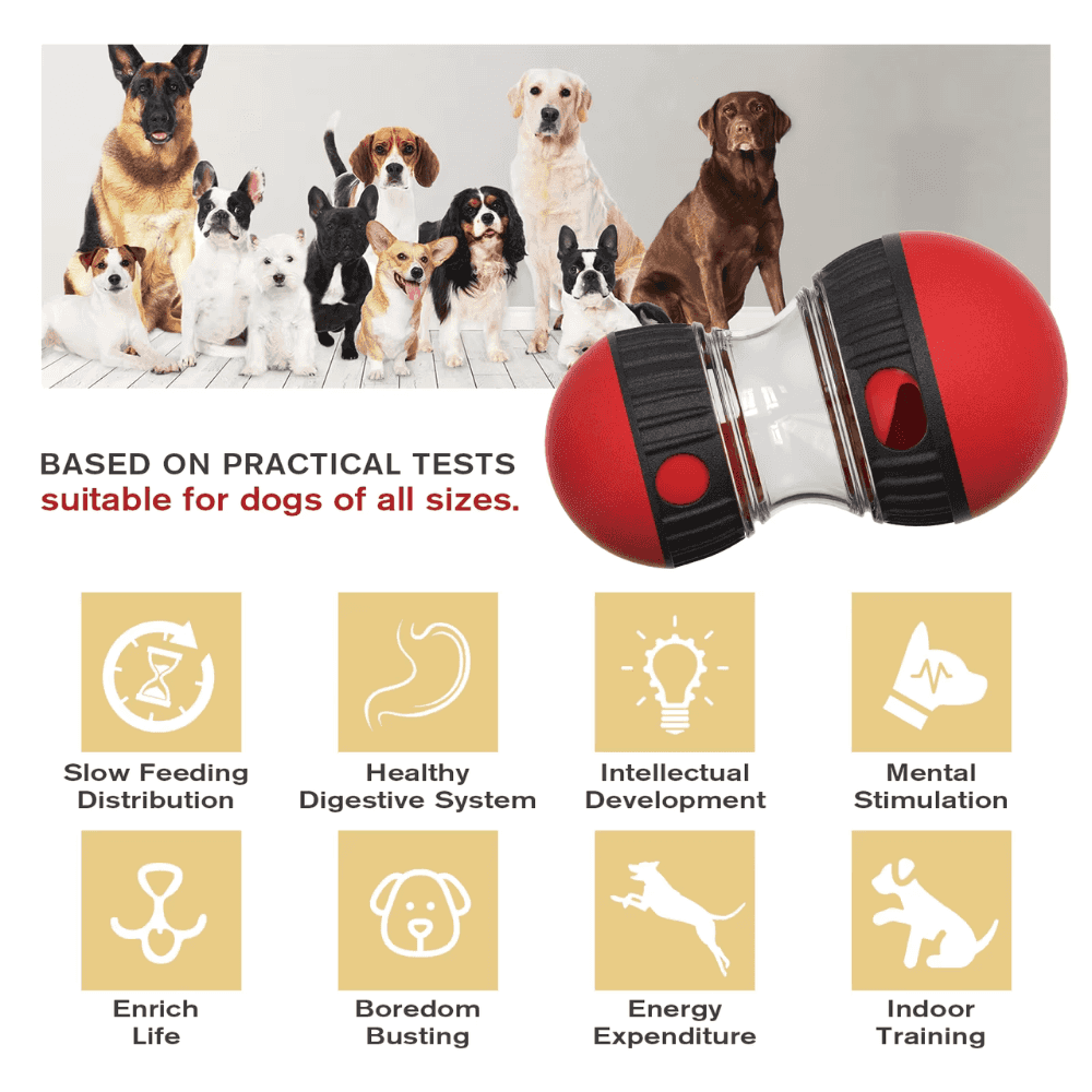Pelota de golosinas Smart Dog Tumbler