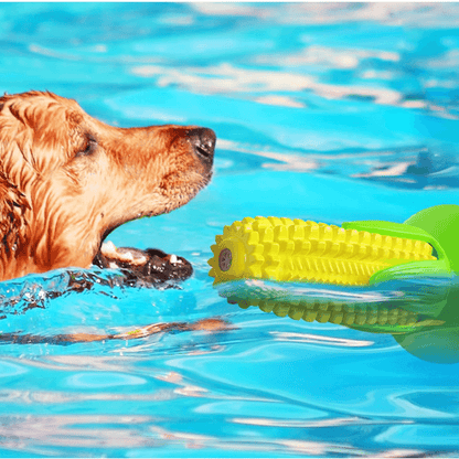 Corn Chew Toy for Medium & Large Dogs