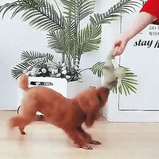 The Original InvinciPups Heavy Duty Chew Toy