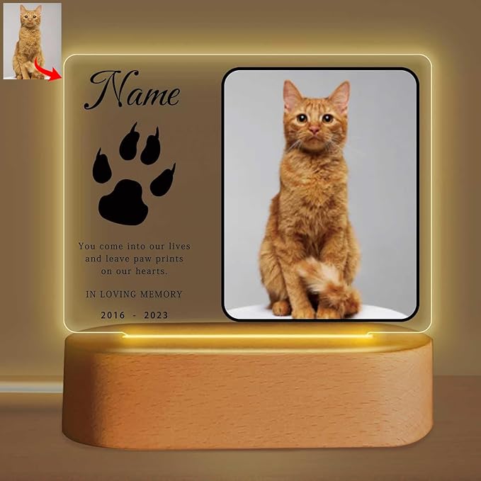 Personalized Pet Night Light Customized Dog Memorial Gift Picture Frame Acrylic Plaque Led Lamp Cat Sympathy Gift for Loss of Pet