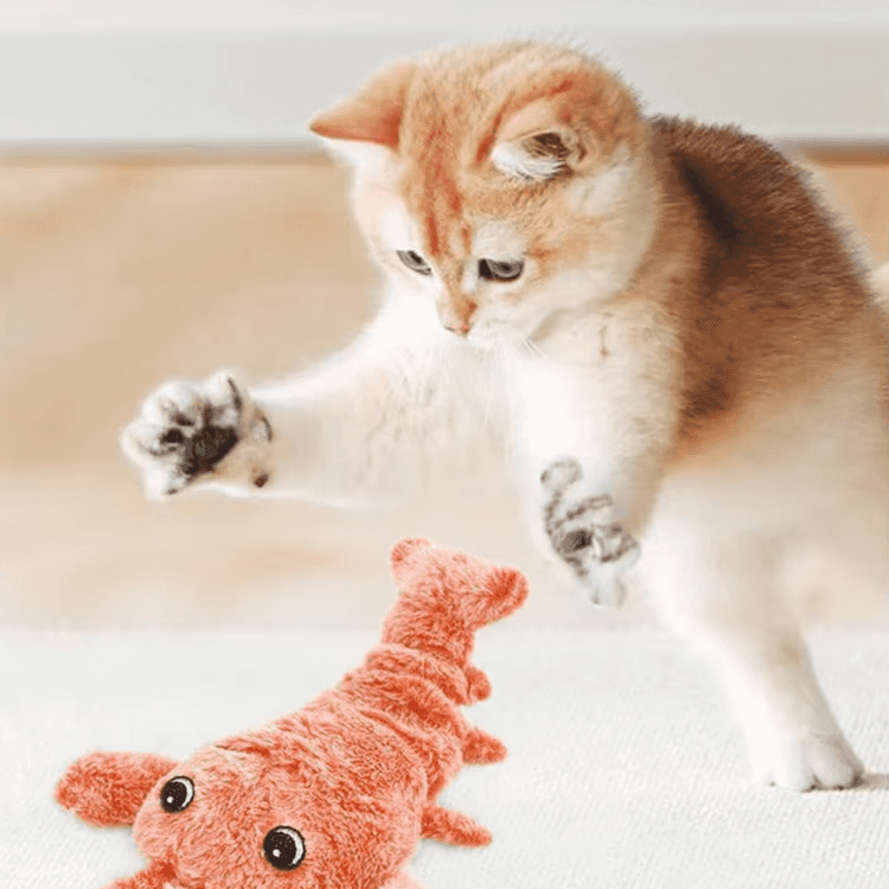 Wiggly Lobster Interactive Pet Toy