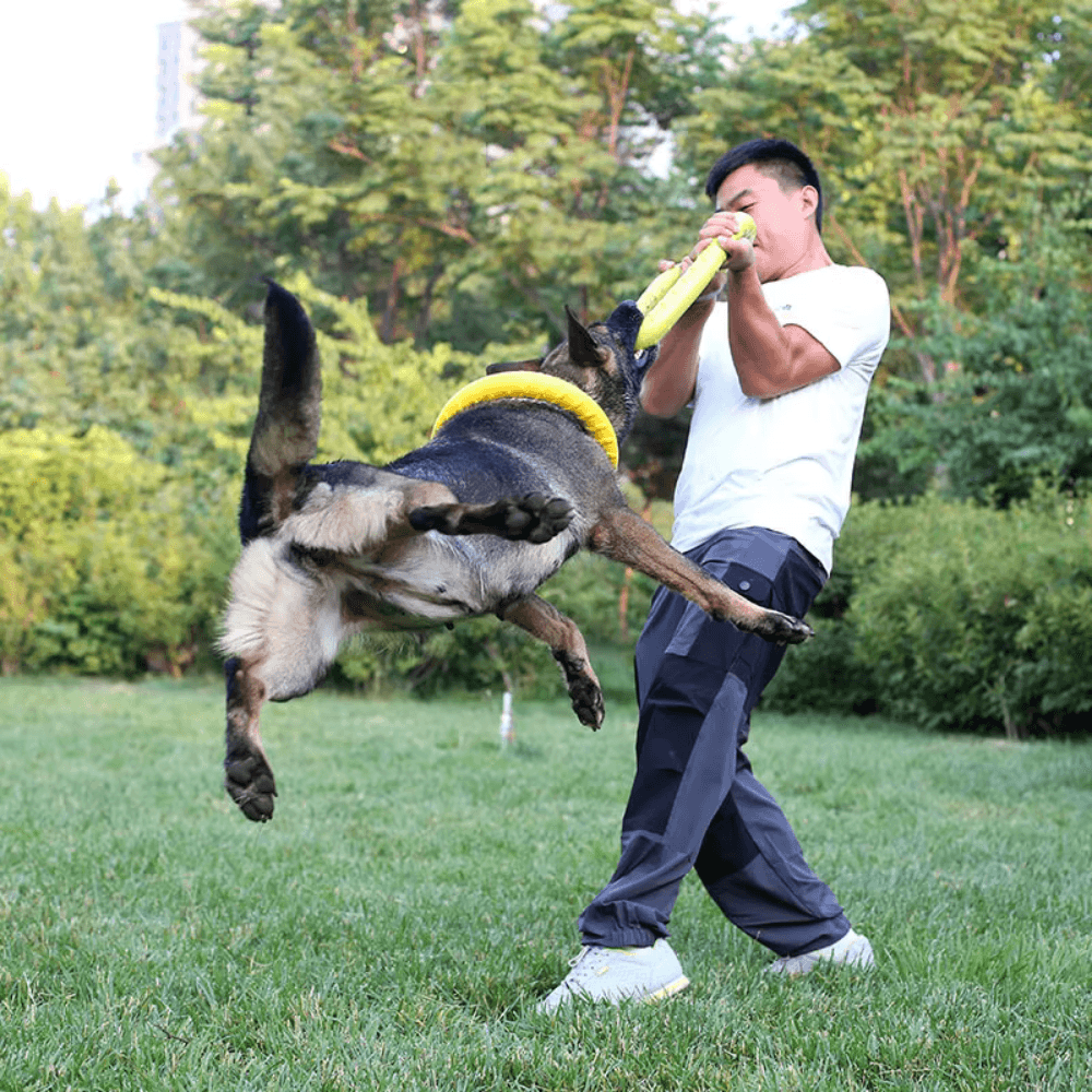 Langlebige schwimmende Hunde-Frisbee