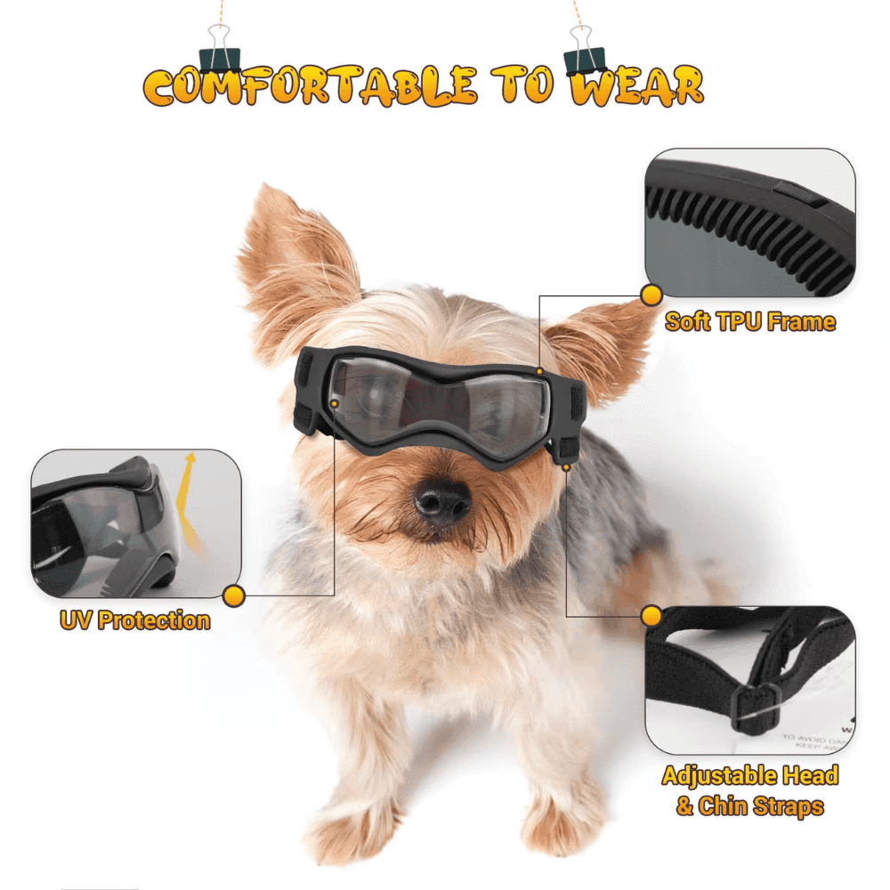 Gafas UV para mascotas