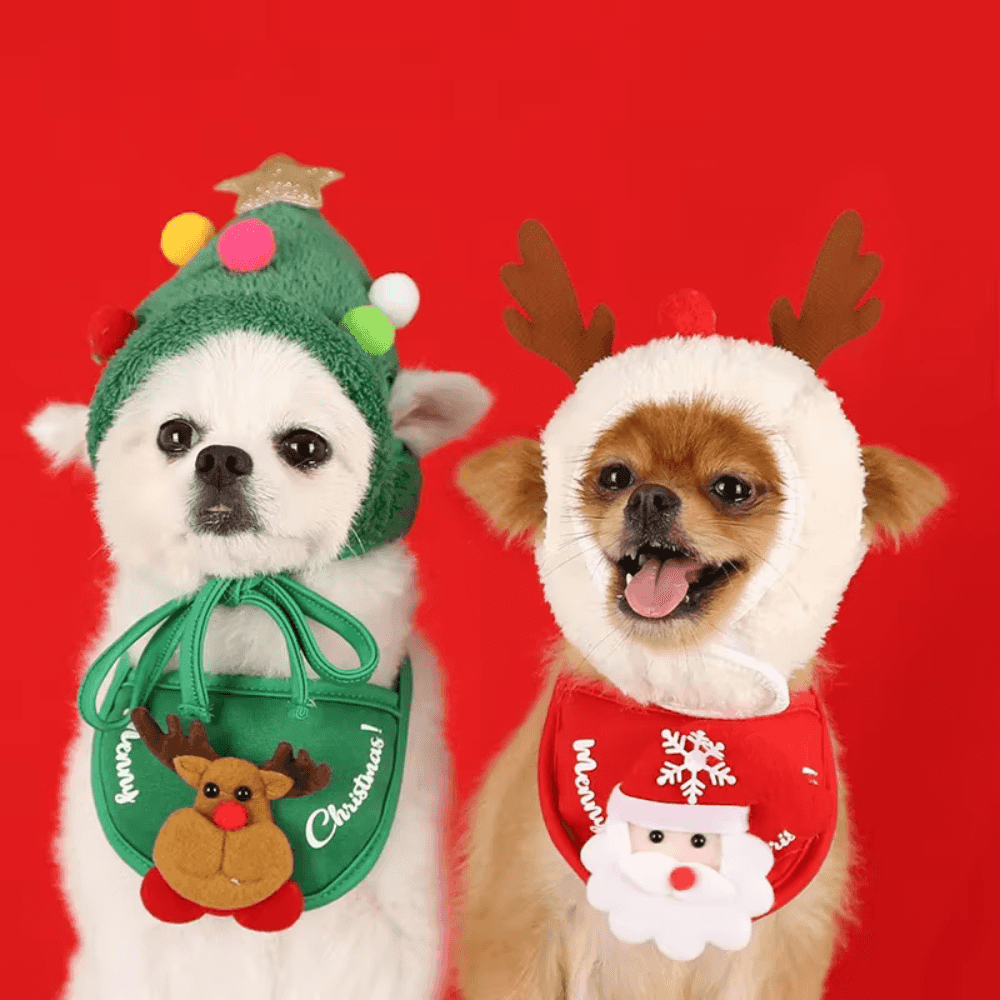Acogedor gorro de asta para mascota para Navidad