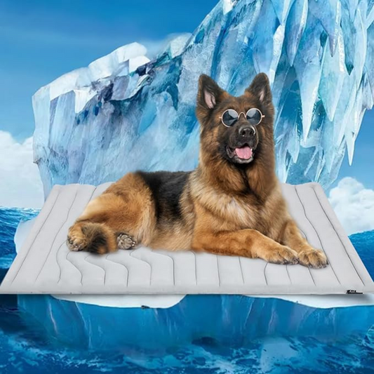 Dog Cooling Mat