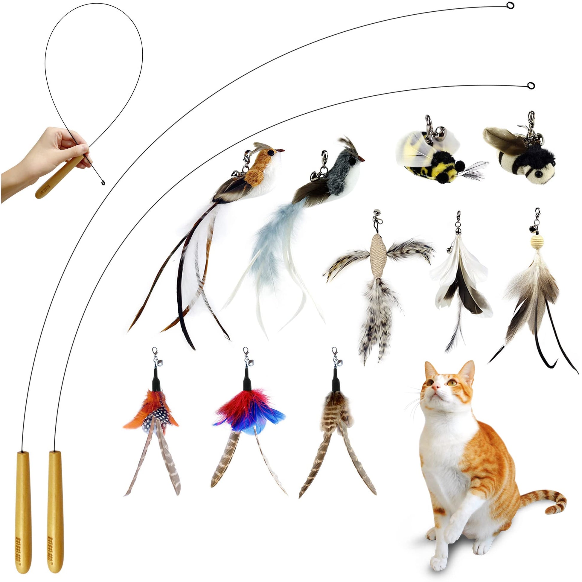 TTcat Interactive Bird and Insect Simulation Cat Toy Set with 4 Feather Refills, 29'' Flexible Steel Wire, Sturdy Wood Handle & Bell,Cat Wand Toys for Indoor Cat and Kitten.