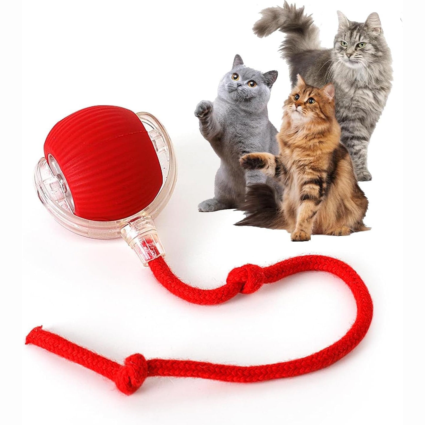 2025 Durable Interactive Cat Toys, Smart Automatic Cat Chase Ball Toy, Upgraded Speedy Tail Kitten Toy for Bored Indoor Pet