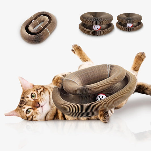 Cat Ball Adventure The Ultimate Interactive Mental & Physical Exercise for Indoor Cats