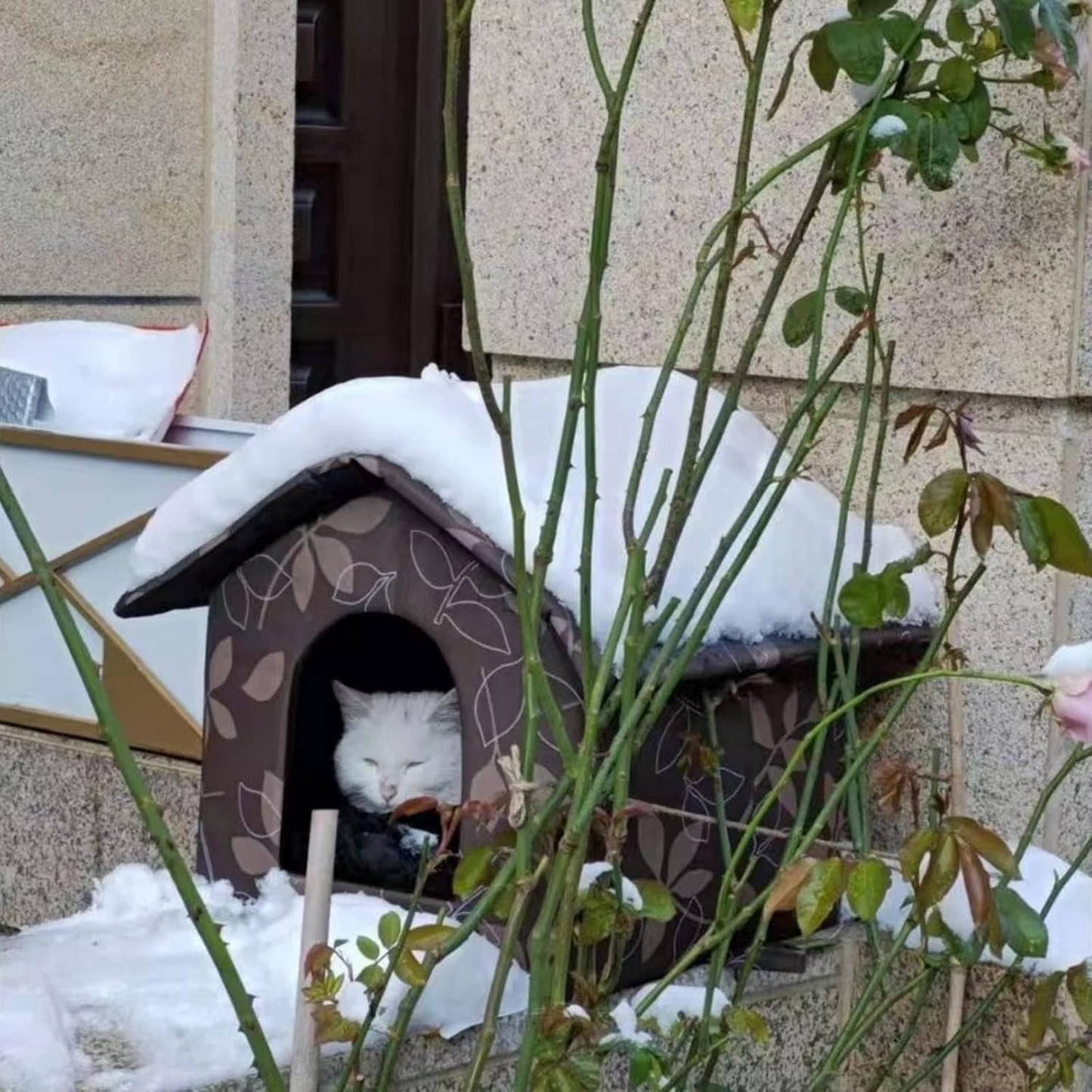 Outdoor Cat House, Cat Houses for Outdoor Cats, Weatherproof Warm and Insulated Cat House with Transparent Curtain Pet House, Stray Cats Shelter (Shabby Chic, Large-Houses)