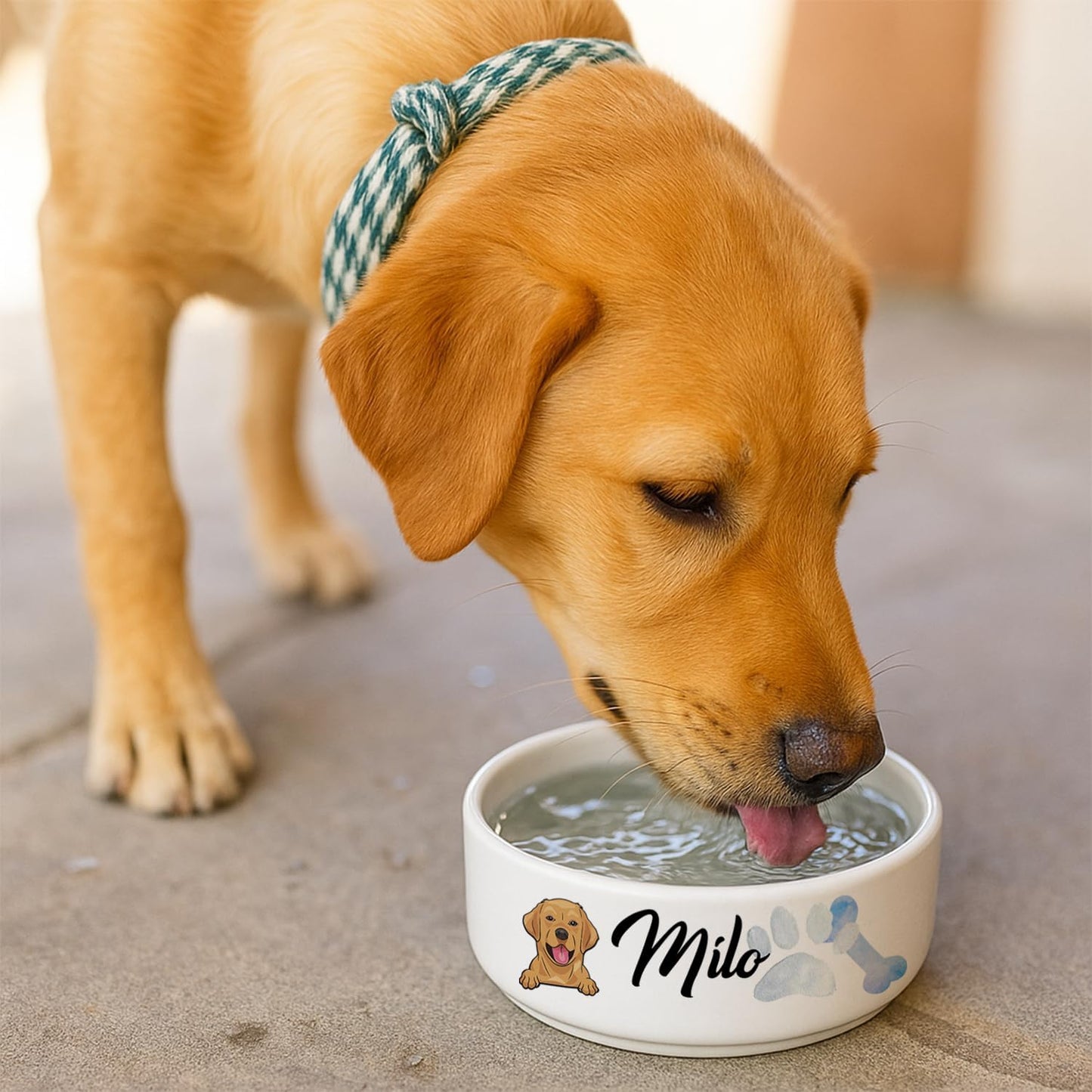 Personalized Dog Bowl for Small Size Dogs - Custom 5'' Round × 2" Tall Cute Ceramic Dog Food & Water Bowl, Small & Medium Pet Dish for Wet Food