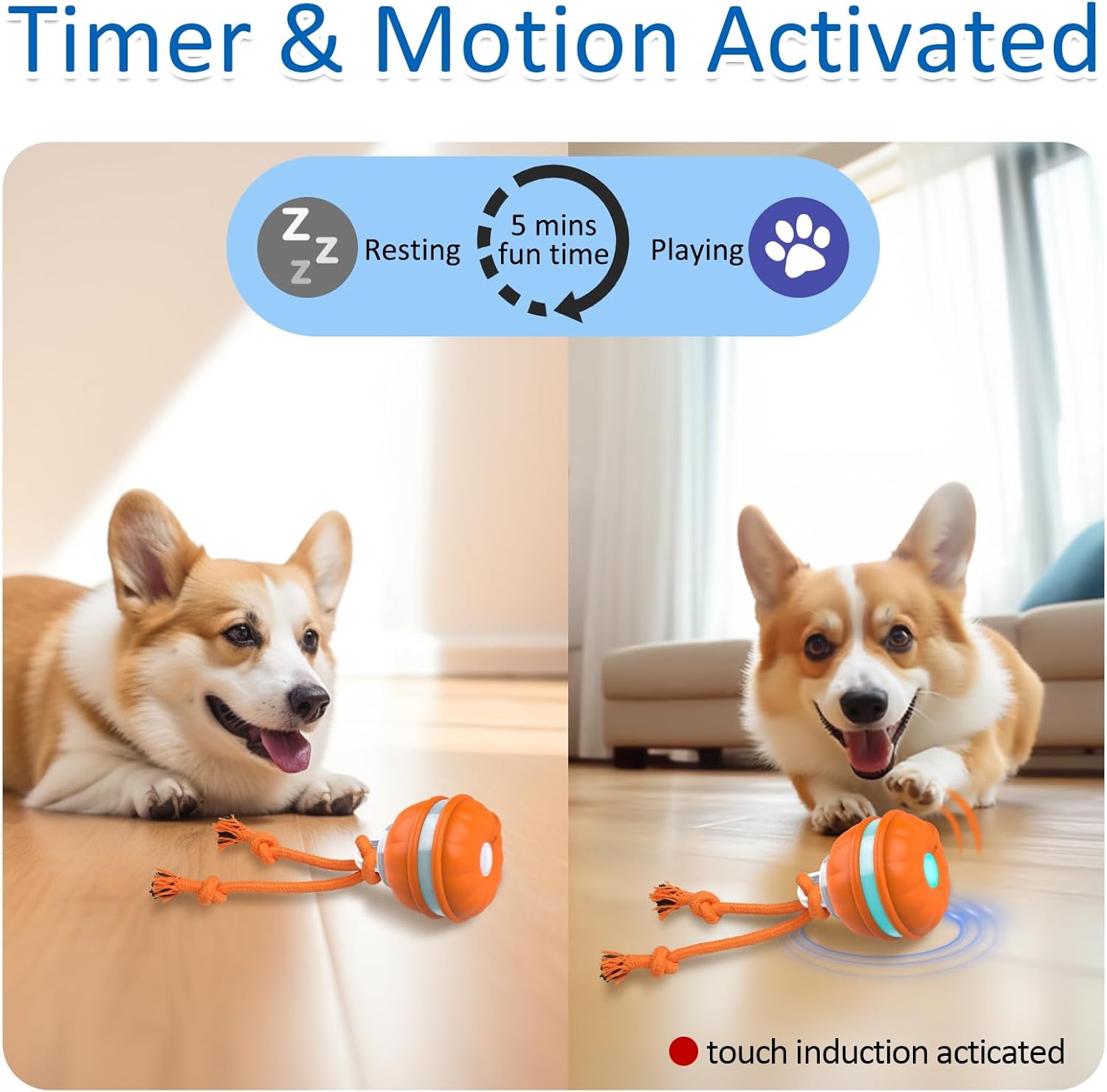 Interactive Dog Toys, Motion Activated Dog Ball, Automatic Rolling Ball Toys for Puppy/Small Dogs