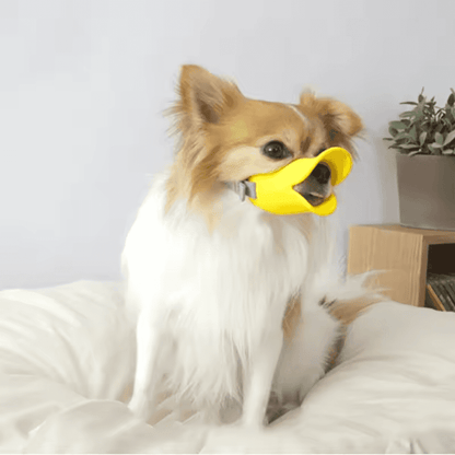 Dogs Anti Bite Stop yellow duck-bill muzzle on a fluffy dog indoors. Comfortable and secure fit for small to medium-sized pets.