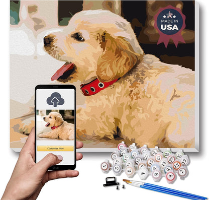 Texture of Dreams Personalized Paint by Numbers Kit for Adults, Acrylic Painting Oil Painting on Framed & Stretched Canvas