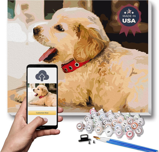 Texture of Dreams Personalized Paint by Numbers Kit for Adults, Acrylic Painting Oil Painting on Framed & Stretched Canvas