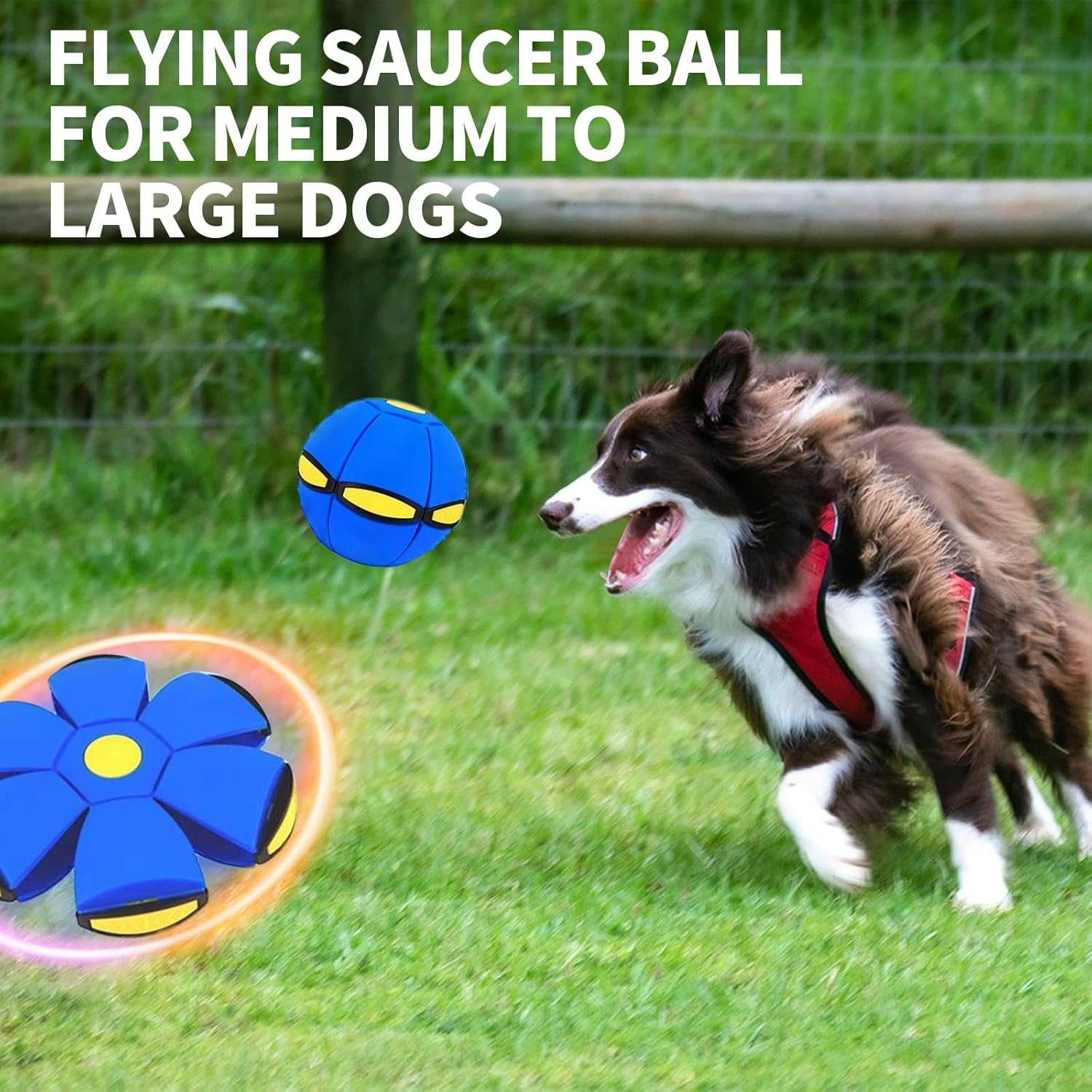 2PCS Dog Flying Disc Toy, Pet Toy Flying Saucer Ball with 3 Light for Dogs, Dog Toy Outdoor Toy Doggy Disc Ball, Outdoor Games