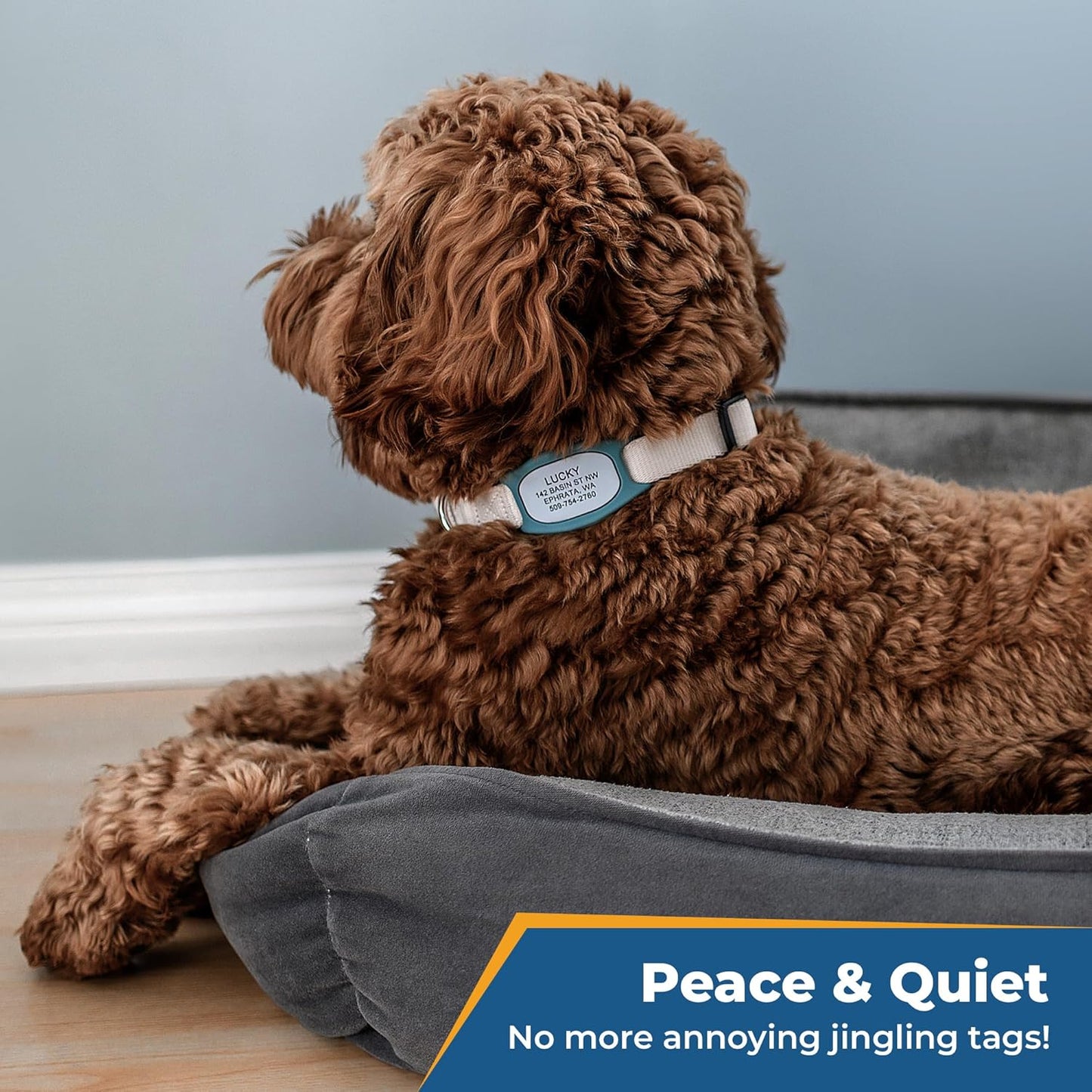 PetTags Silent Dog Tag, Personalized Engraved Silicone and Cat Name Pet ID Tags