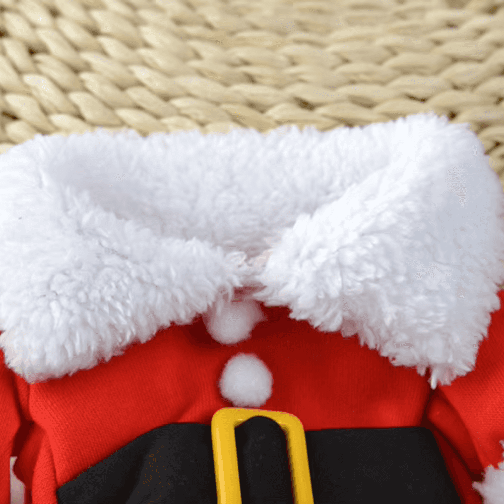 Disfraz festivo de Papá Noel para perro