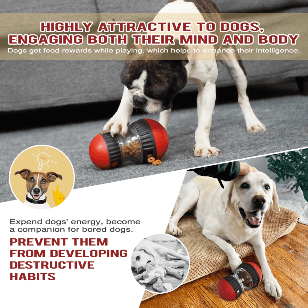 Pelota de golosinas Smart Dog Tumbler