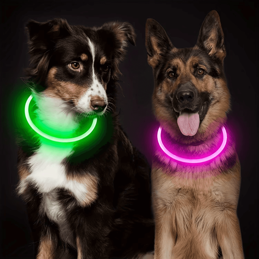 LED Light-Up Dog Collar