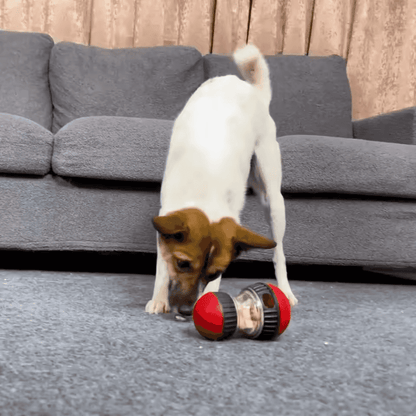 Pelota de golosinas Smart Dog Tumbler