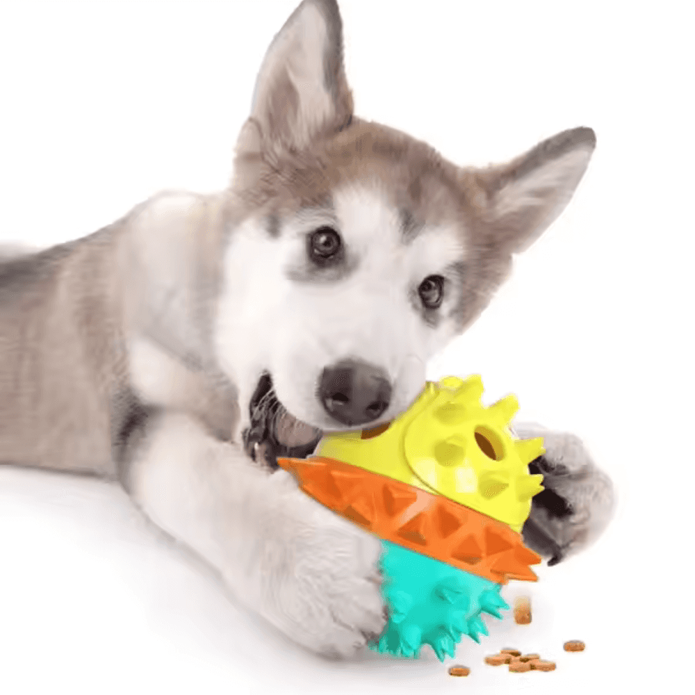 Rolling Treat Dispenser Dog Toy