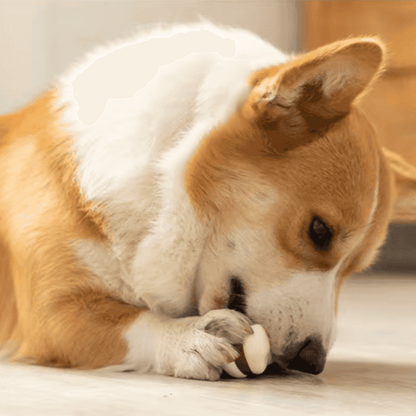 Juguete masticable para perros con forma de anillo de piel de vaca
