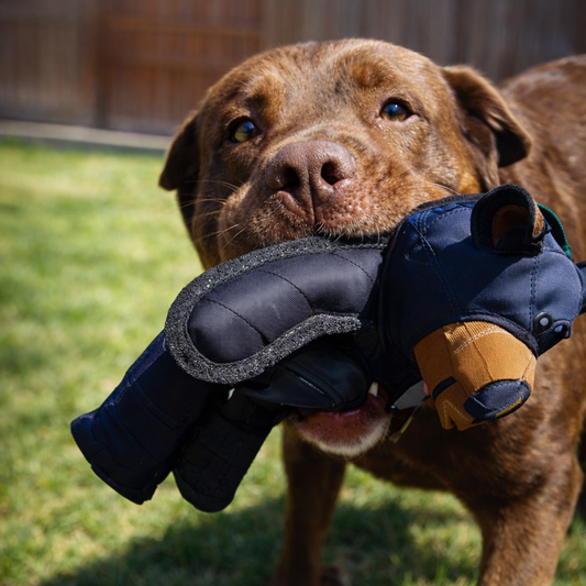 Indestructible Teddy Bear Toy for Dogs - Stuffed Plush Dog Squeaky Toy - The Calm Pet