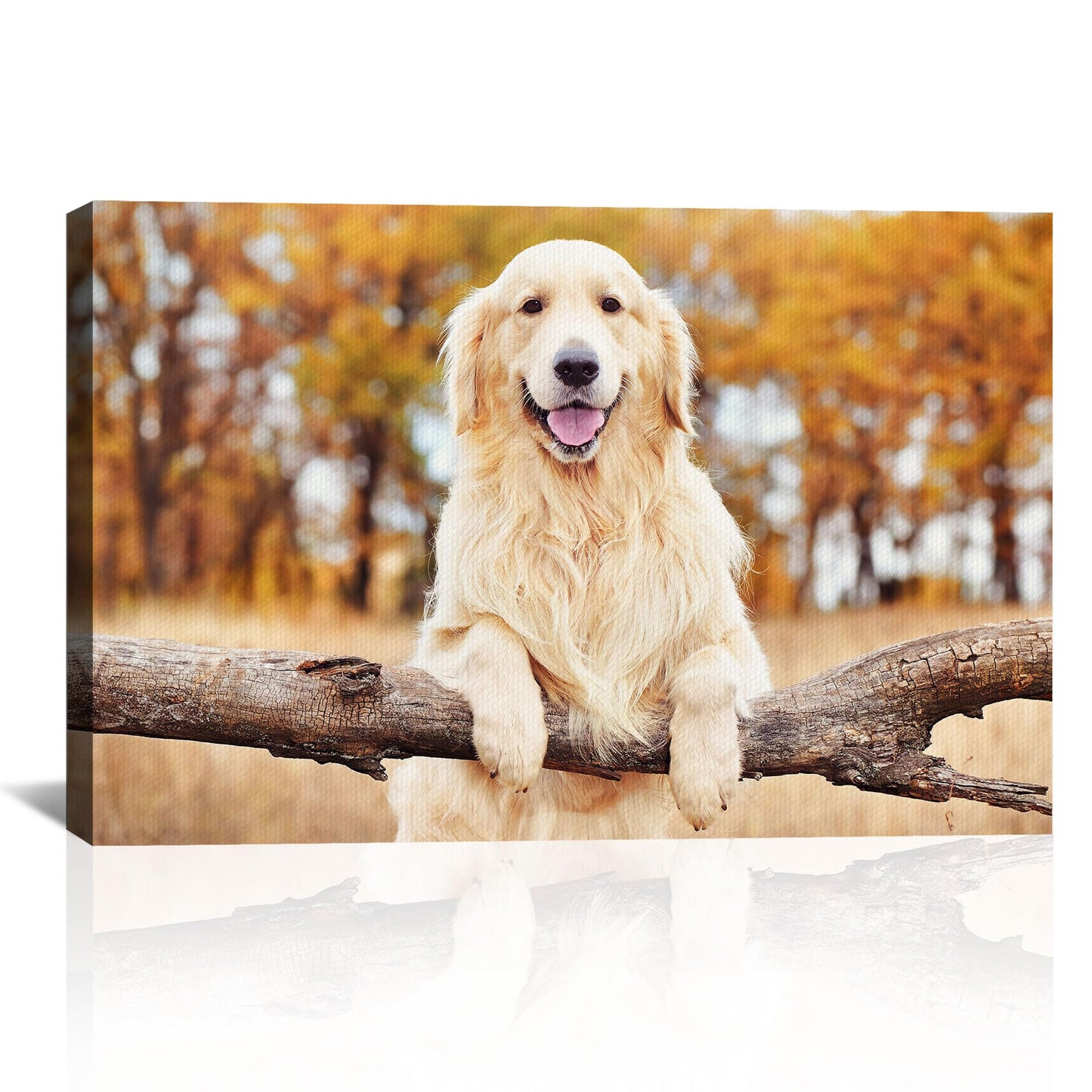 Custom Canvas Prints with Your Photos Personalized Photo Canvas Print Wall Art Customized Canvas Picture Frame Gifts for Pet