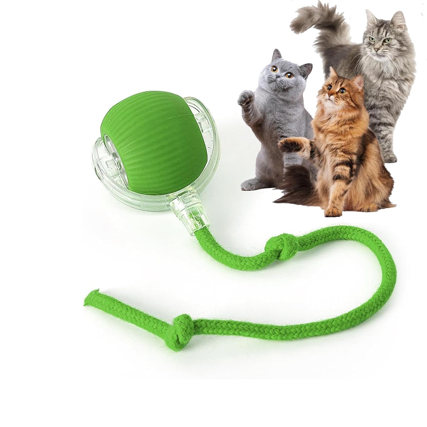 2025 New Interactive Dog Cat Toys Balls 2.0