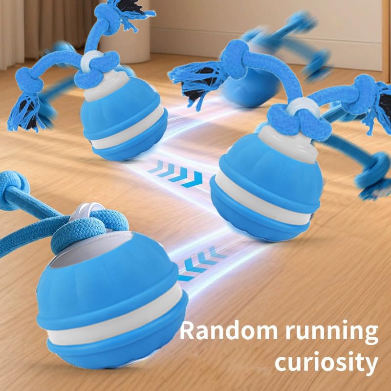 2pcs Paws Design Rechargeable Squeaky Rope Runner Dog Toy – Interactive Ball & Rope for Small Dogs