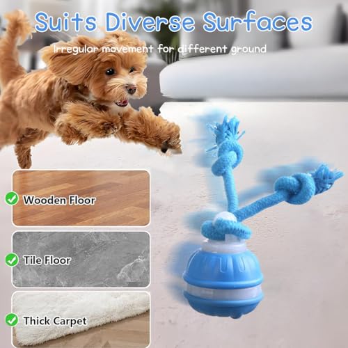2pcs Paws Design Rechargeable Squeaky Rope Runner Dog Toy – Interactive Ball & Rope for Small Dogs