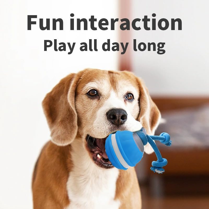 2pcs Paws Design Rechargeable Squeaky Rope Runner Dog Toy – Interactive Ball & Rope for Small Dogs