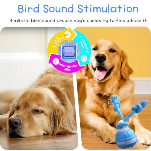 2pcs Paws Design Rechargeable Squeaky Rope Runner Dog Toy – Interactive Ball & Rope for Small Dogs